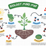 biology mind map