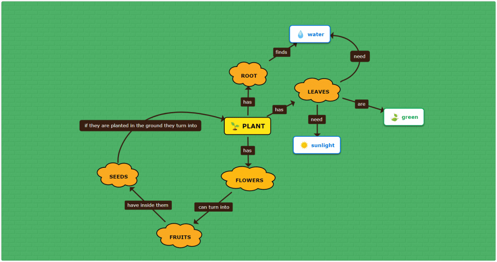 Plant elements concept map